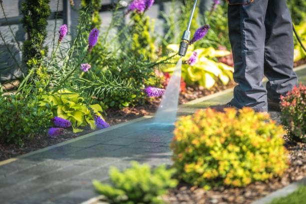 Best Gutter Cleaning  in Glendora, CA